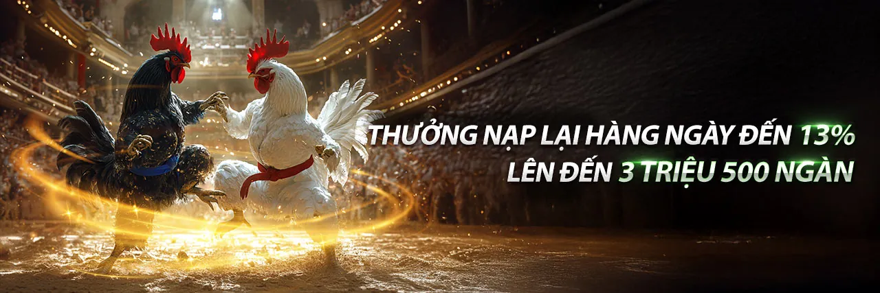 Đá Gà Thomo 22 3 - Sân đấu gà trực tiếp đỉnh cao
